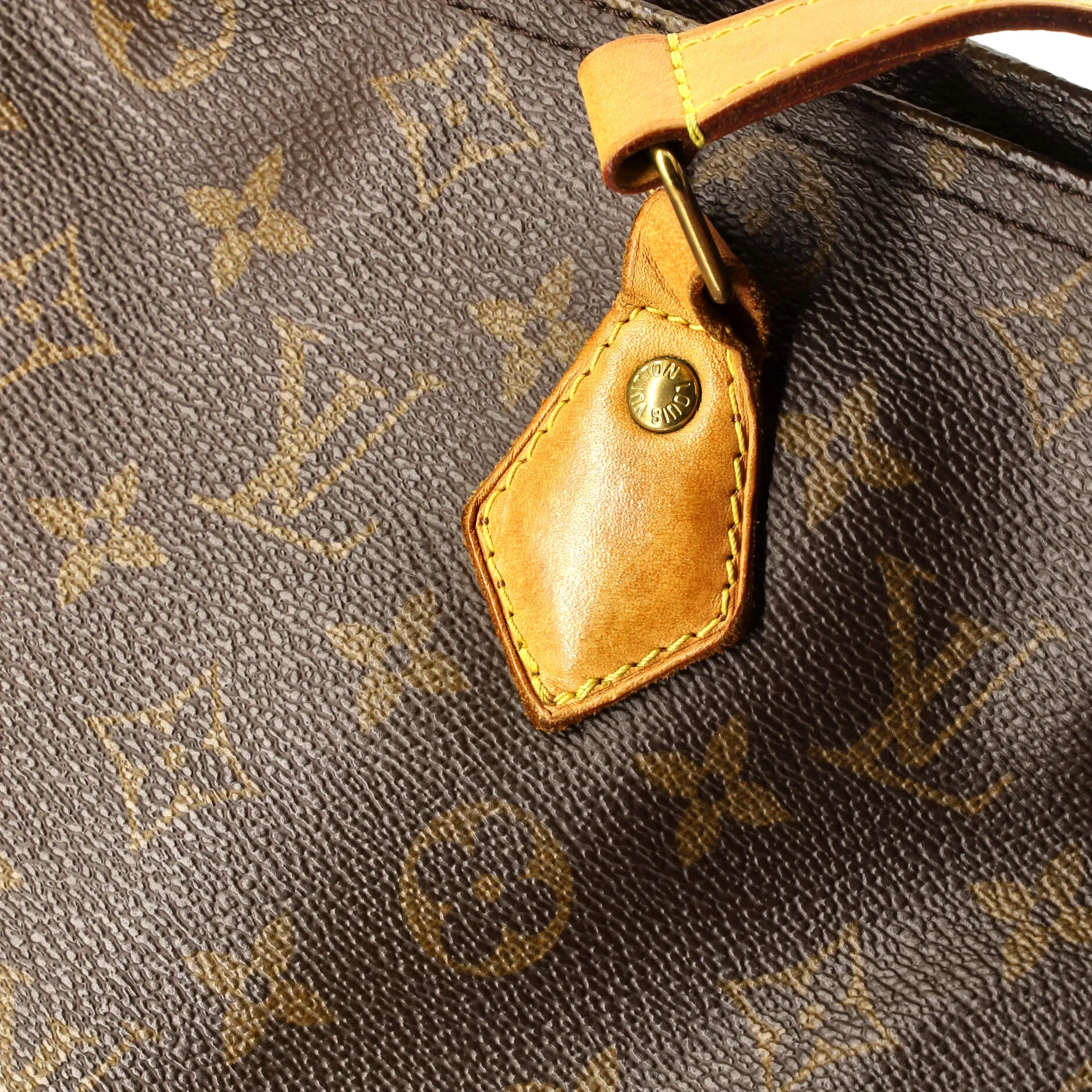 All In Handbag Monogram Canvas PM