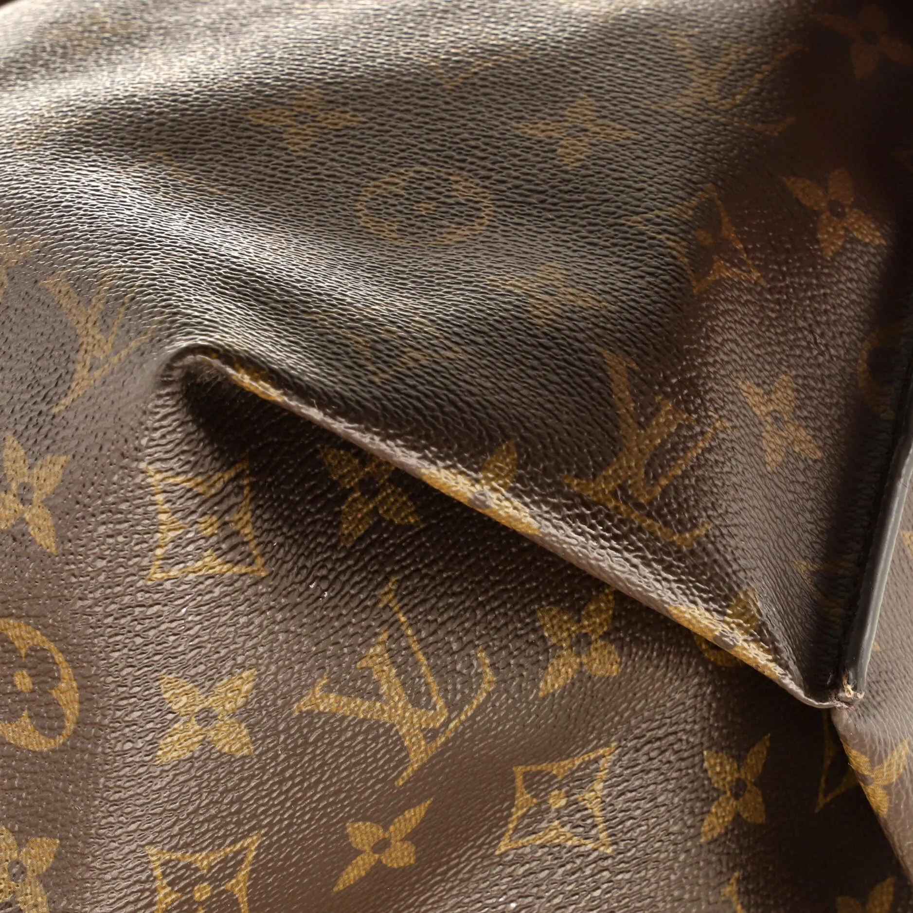 All In Handbag Monogram Canvas PM