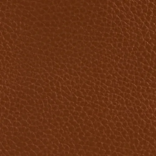 Harry 24 in Acorn